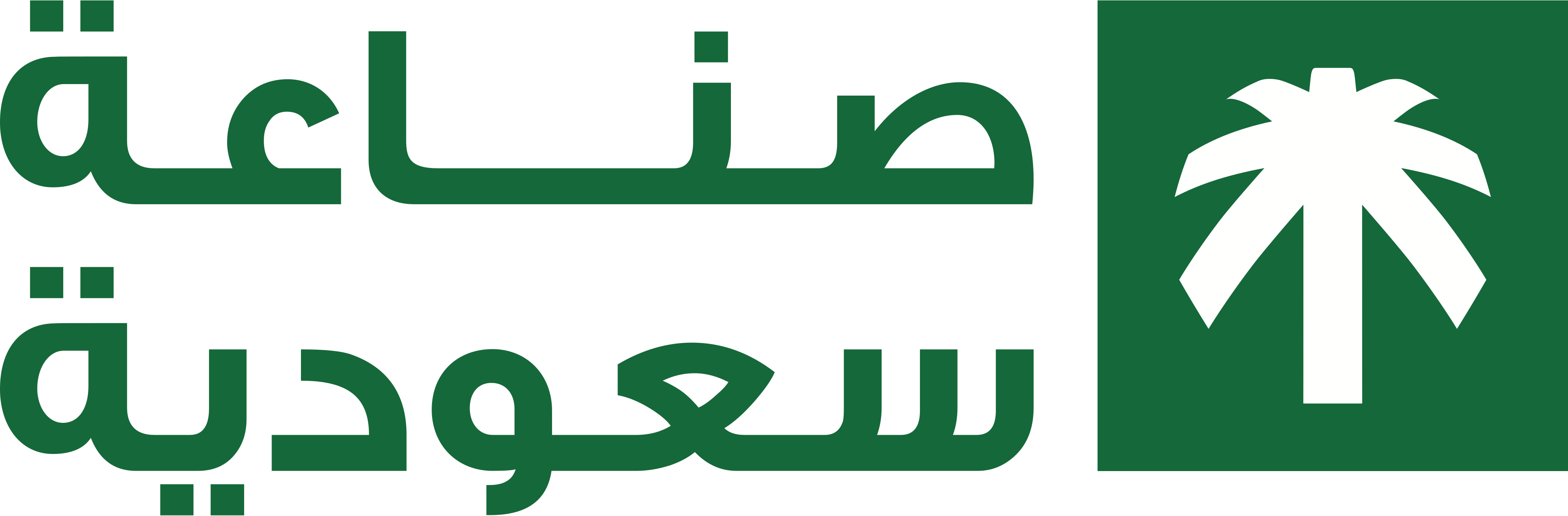 صناعة سعودية